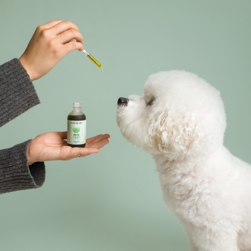 THC-Free-Pet-Oil_Medium
